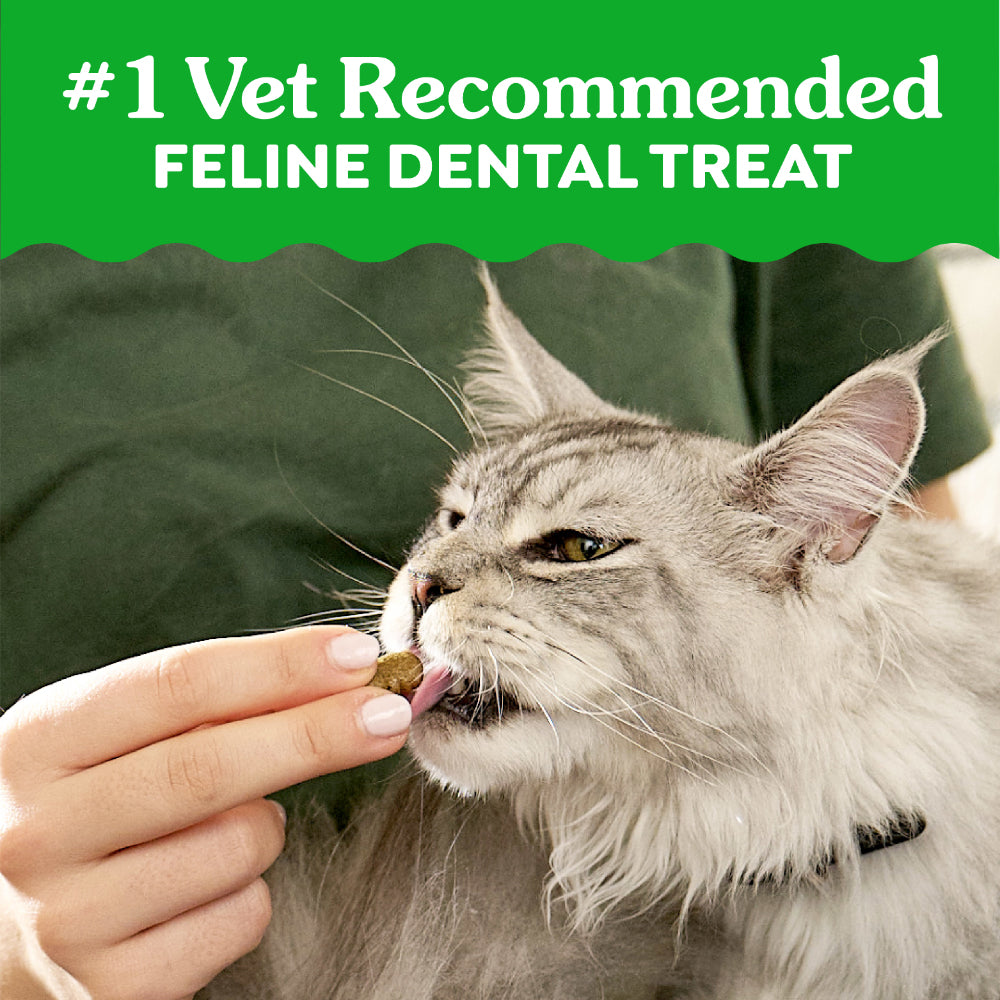 GREENIES Salmon Feline Dental Treats 60g