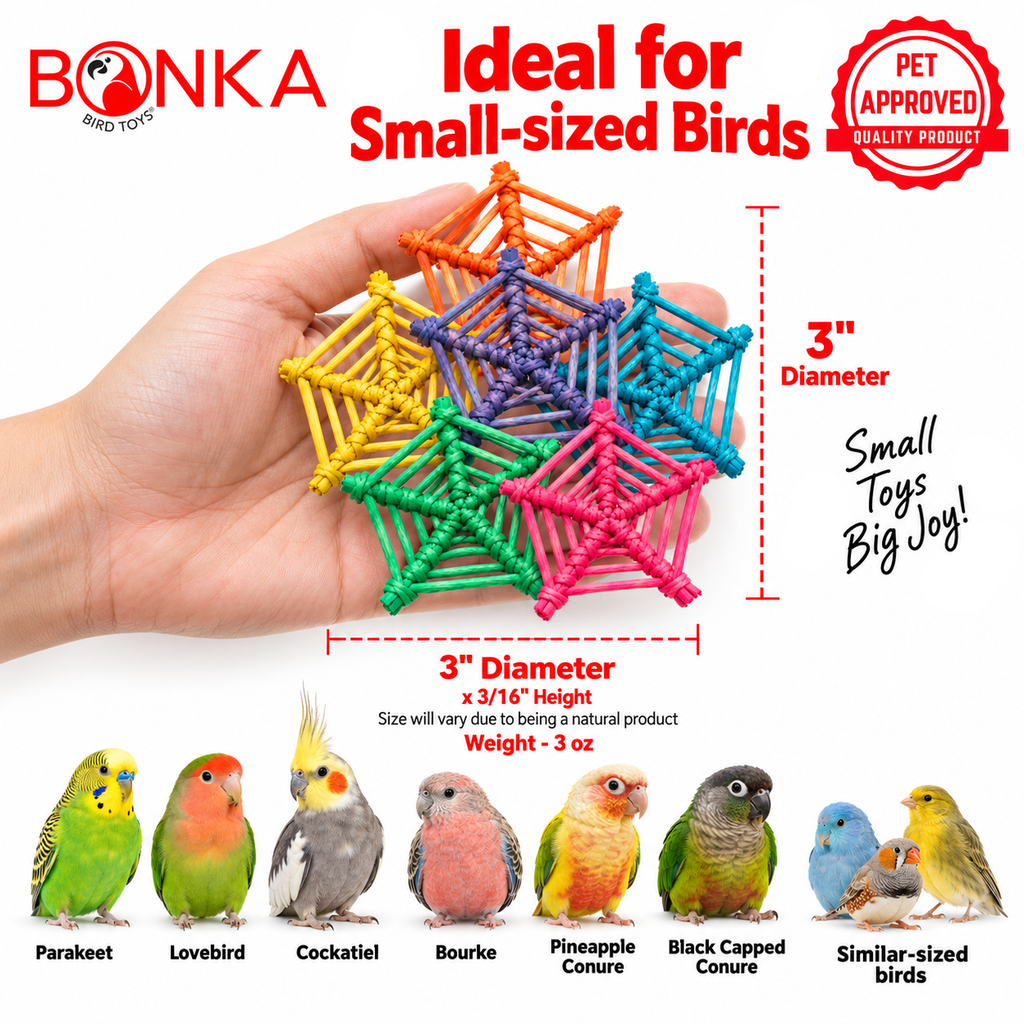2506 Pk6 Color Vine Web