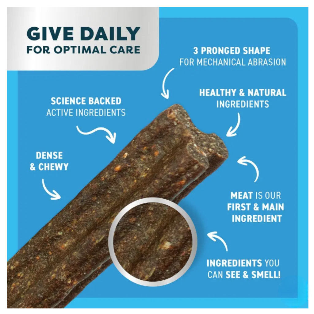 Bell and Bone Dental Sticks for Adult Dogs - Lamb, Mint & Manuka Honey