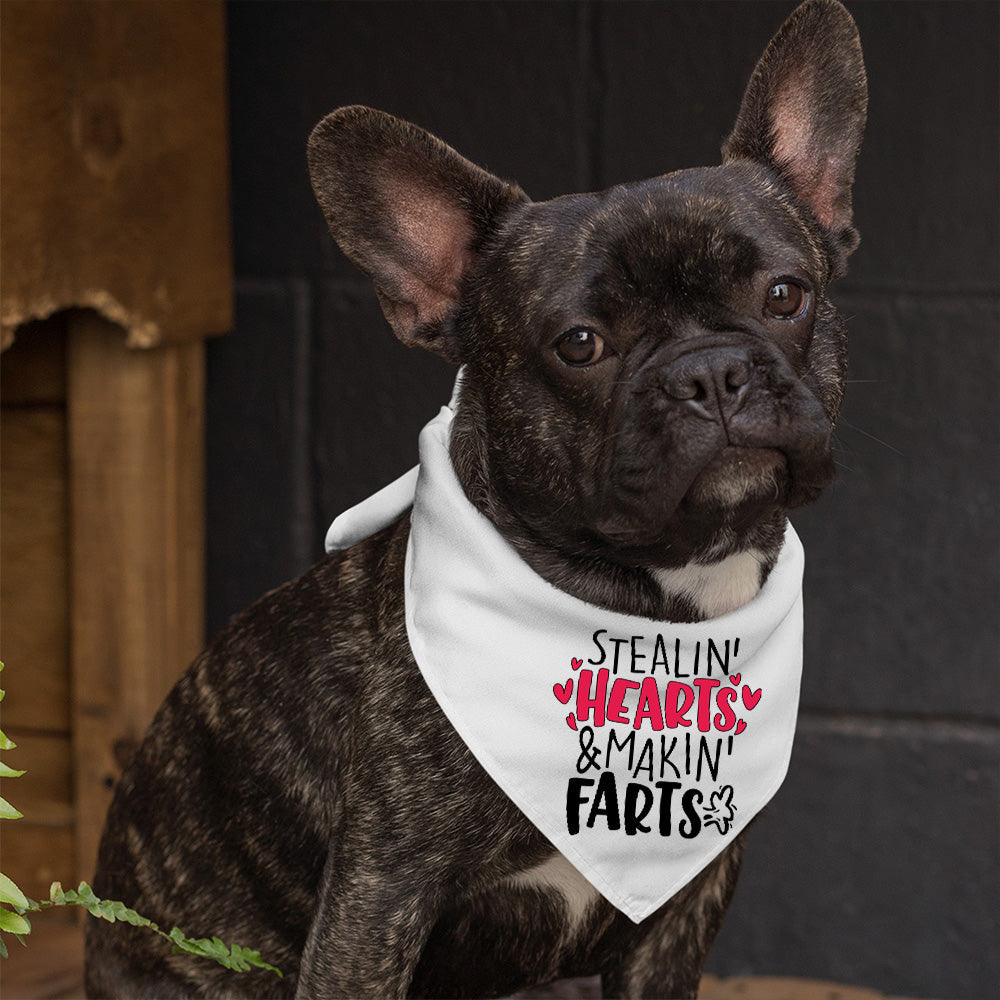 Stealin' Hearts and Makin' Farts - Dog Bandana