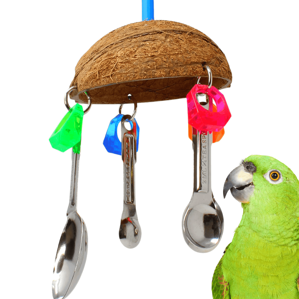 1499 Coco Spoon