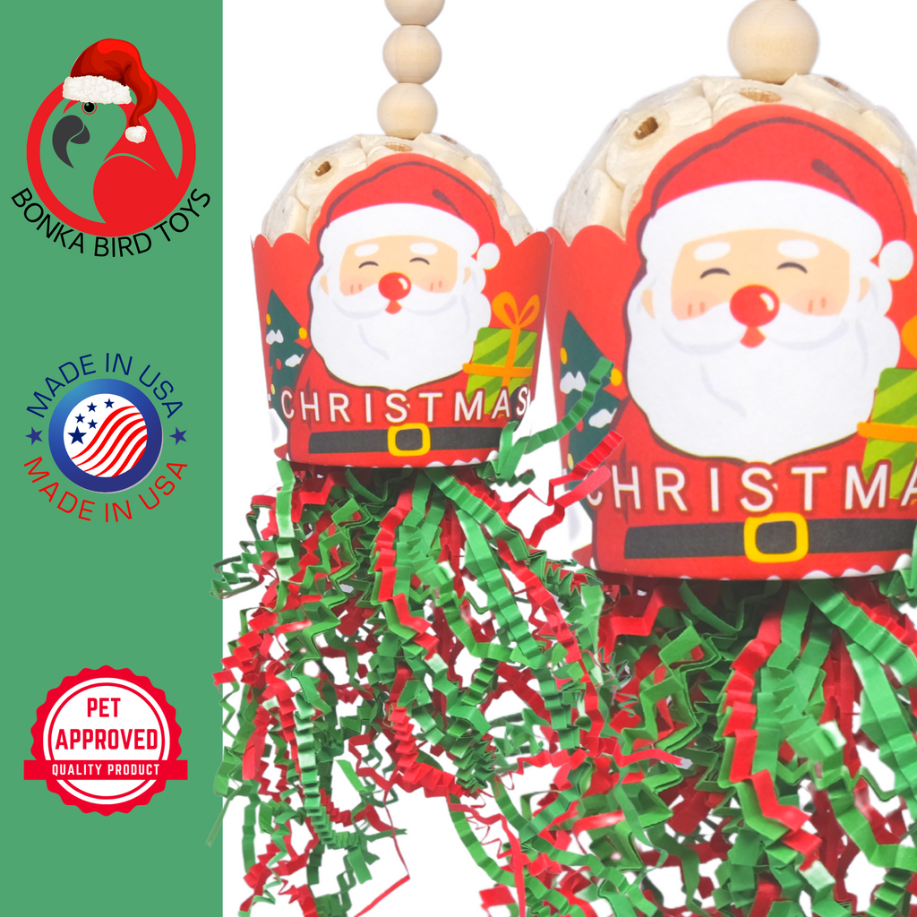 2438 Santa Sola Cup Christmas