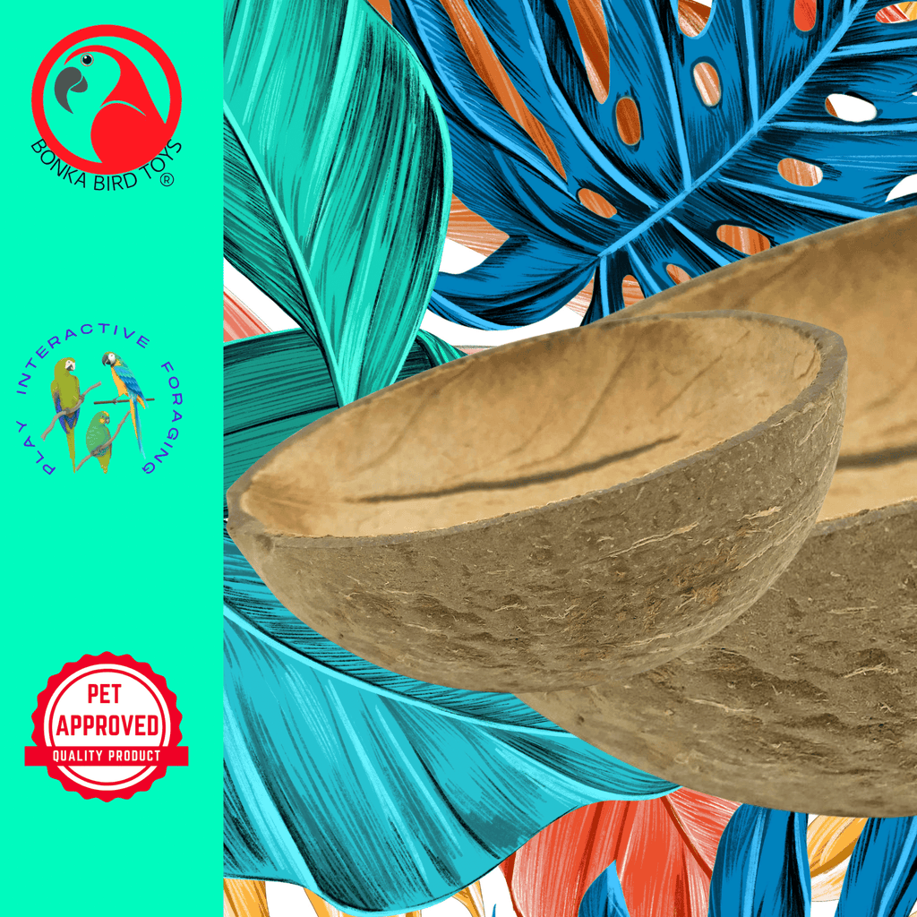 2054 Coconut Cup Flat Base