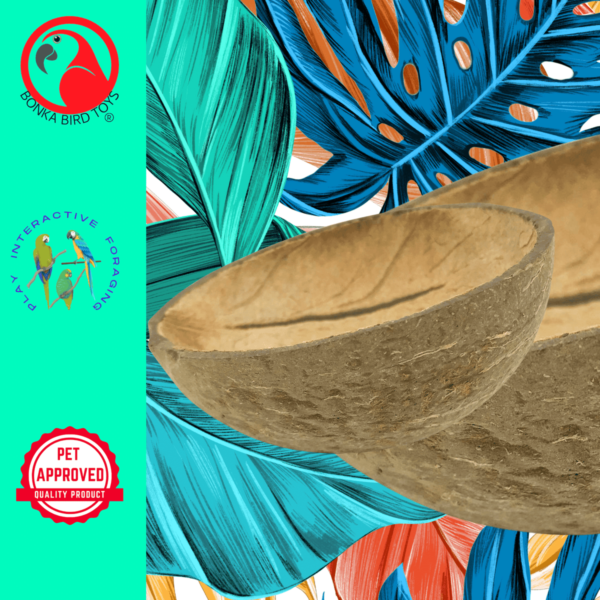 2054 Coconut Cup Flat Base