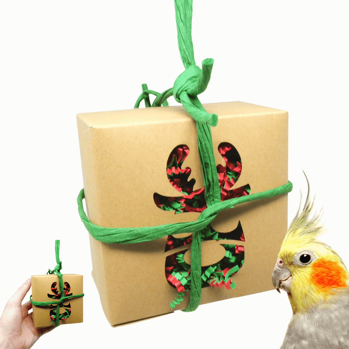 2985 Natural Christmas Box