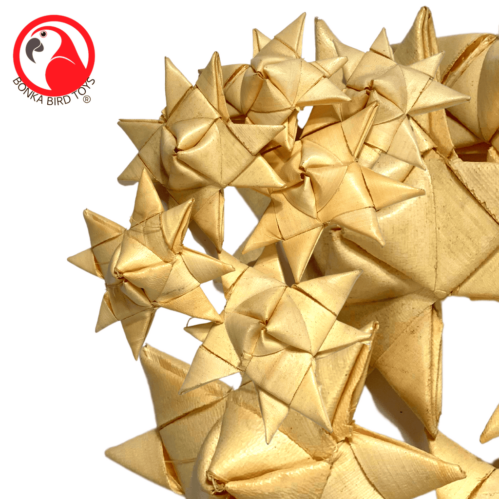 3321 Pk6 Palm Star
