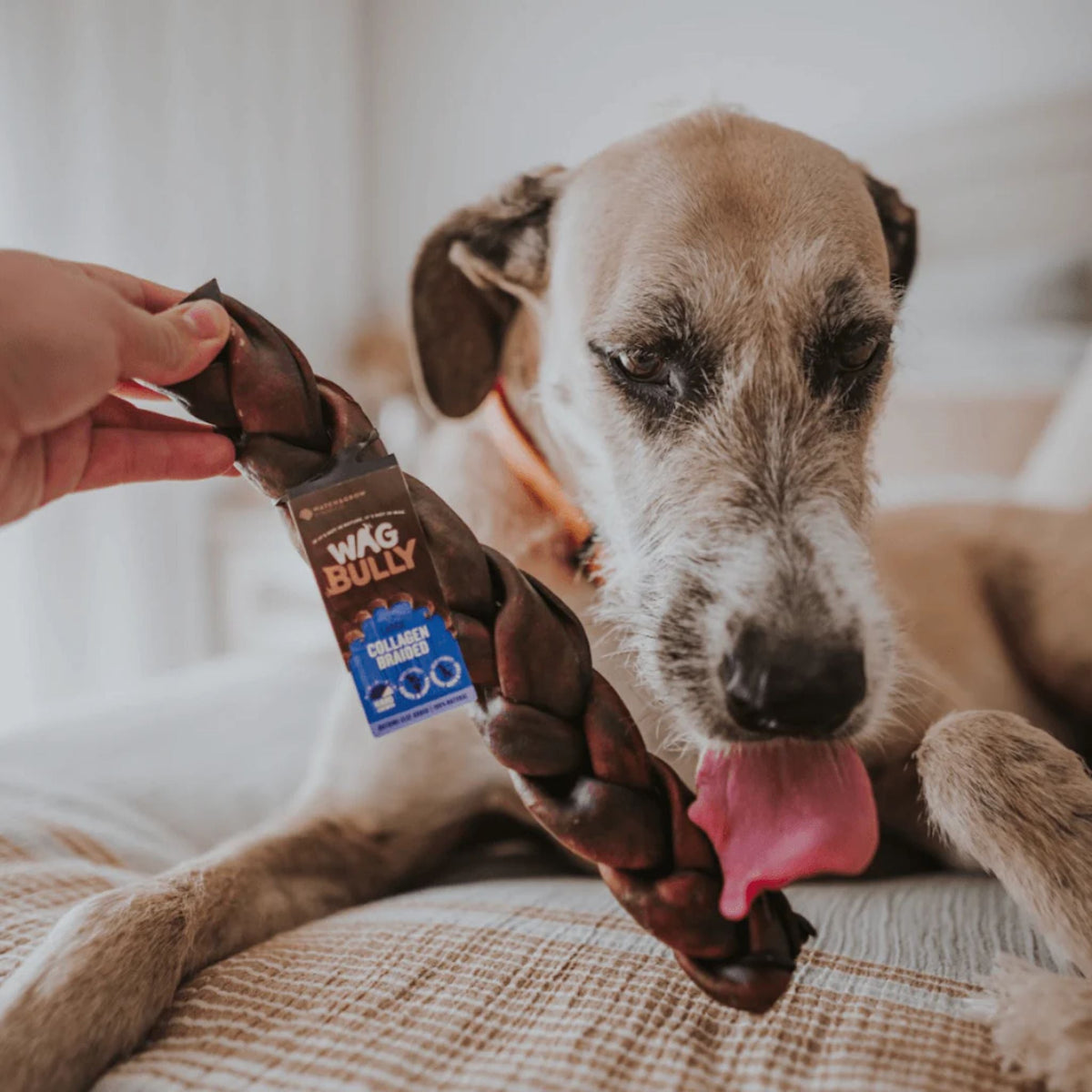 WAG Collagen Stick Braided