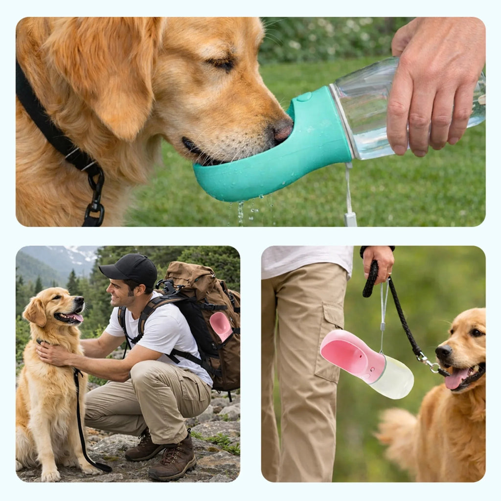 Bottle Belongs To Us - Personalized Pet Water Bottle With Drinking Feeder