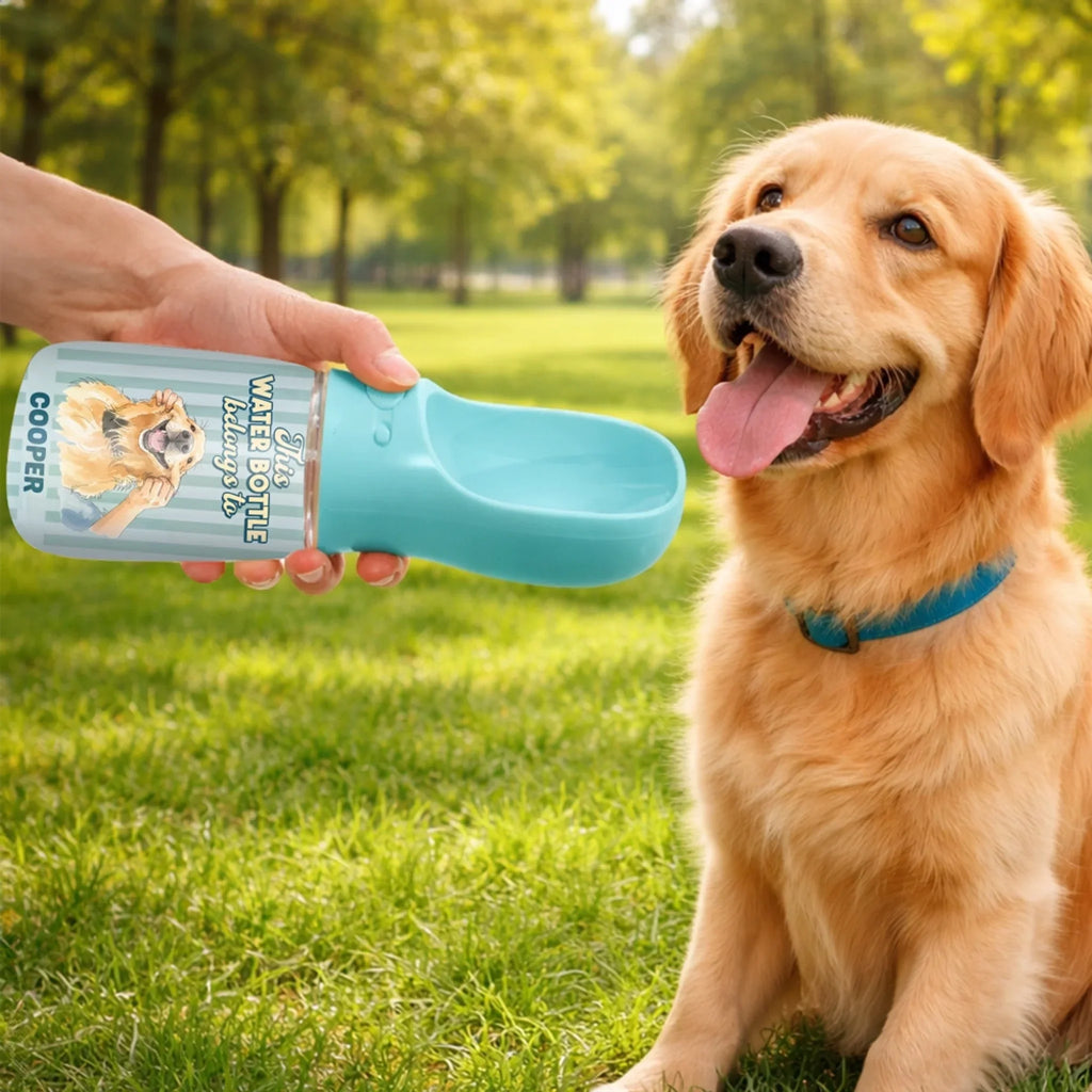 Bottle Belongs To Us - Personalized Pet Water Bottle With Drinking Feeder