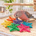 2506 Pk6 Color Vine Web
