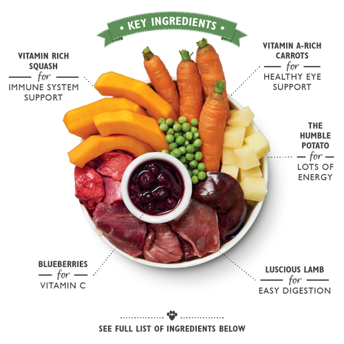 Lily's Kitchen - Wet Food For Dogs - Lamb Hotpot 400g