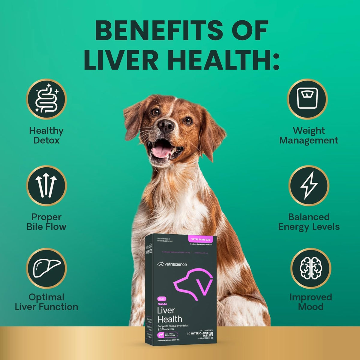 VetriScience - SAMe Liver Health (Vetri SAMe 225) for Dogs (30 Enteric-Coated Tablets)