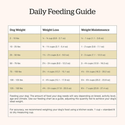 Now Fresh - Grain Free Adult Dog Food - Turkey, Salmon & Duck