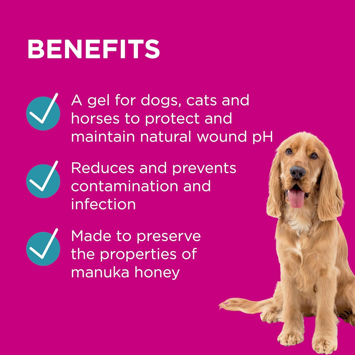 PAW - Manuka Wound Care Gel for Dogs & Cats 25g