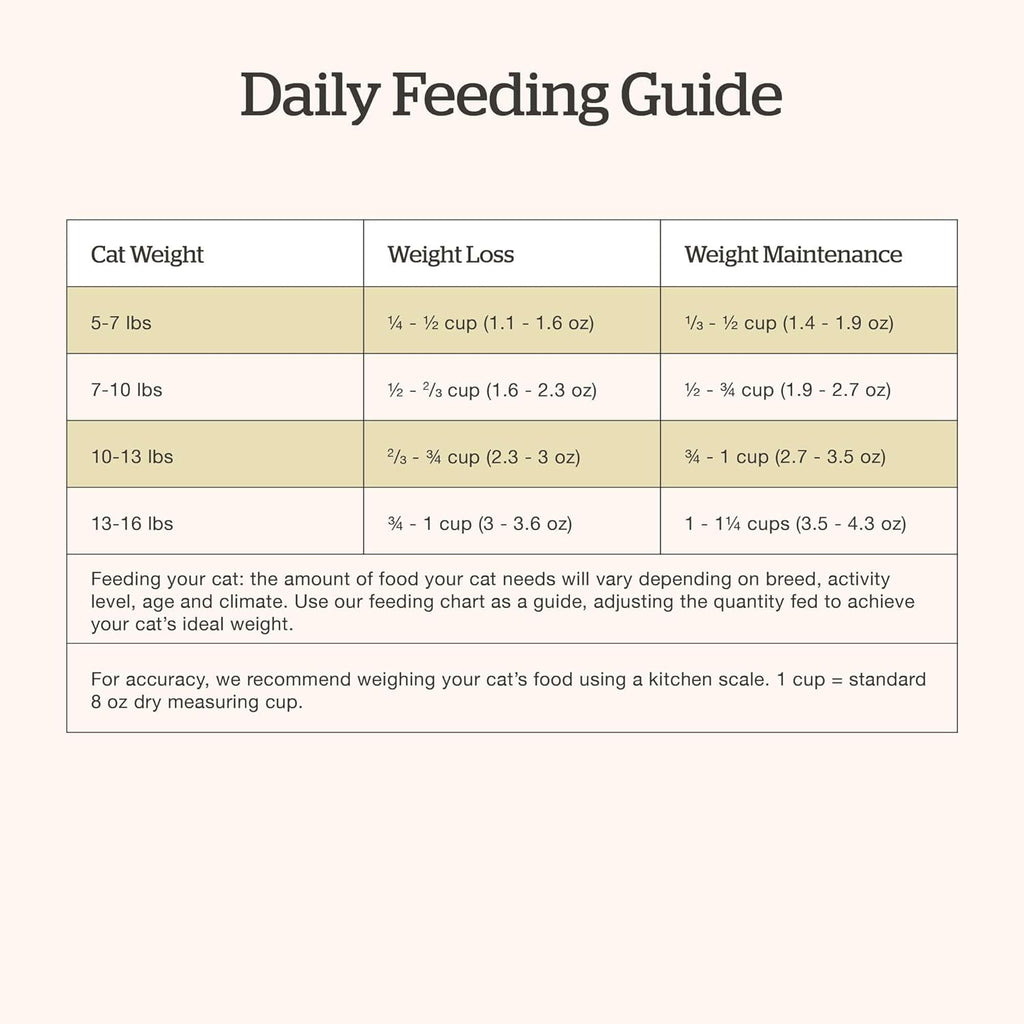 Now Fresh - Grain Free Adult Cat Food - Turkey, Salmon & Duck