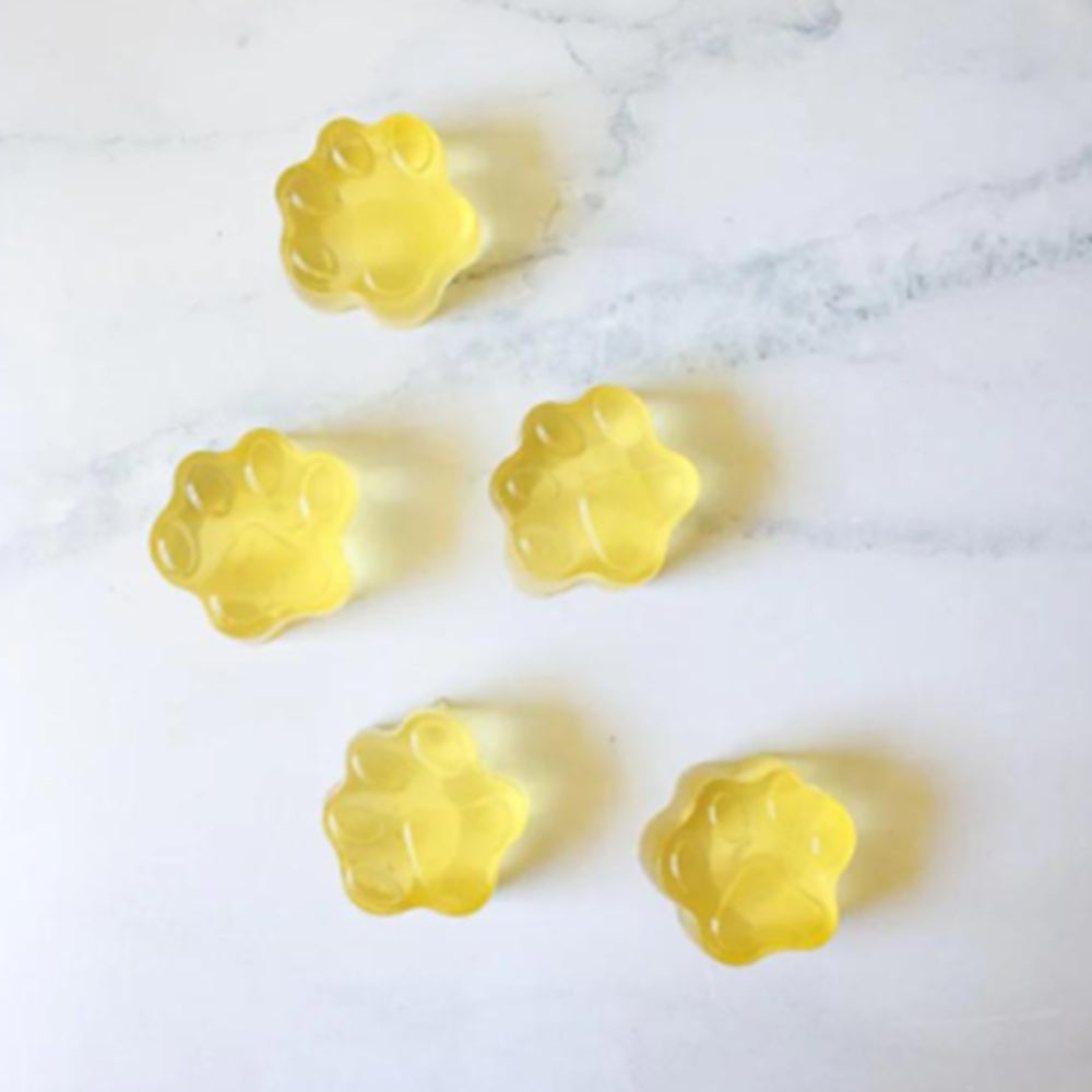 RAW PAWZ Bone Broth Diy Gummies Dog Treats 90g