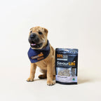 SavourLife Australian Puppy Chicken Training Treats for Dogs