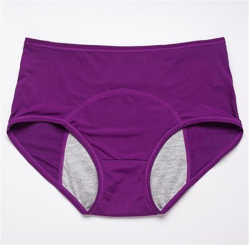 🎁New Year Sale 50% OFF💝New Upgrade High Waist Leak Proof Panties✨