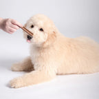 Bell and Bone Puppy Dental Chews - Salmon and Carrot