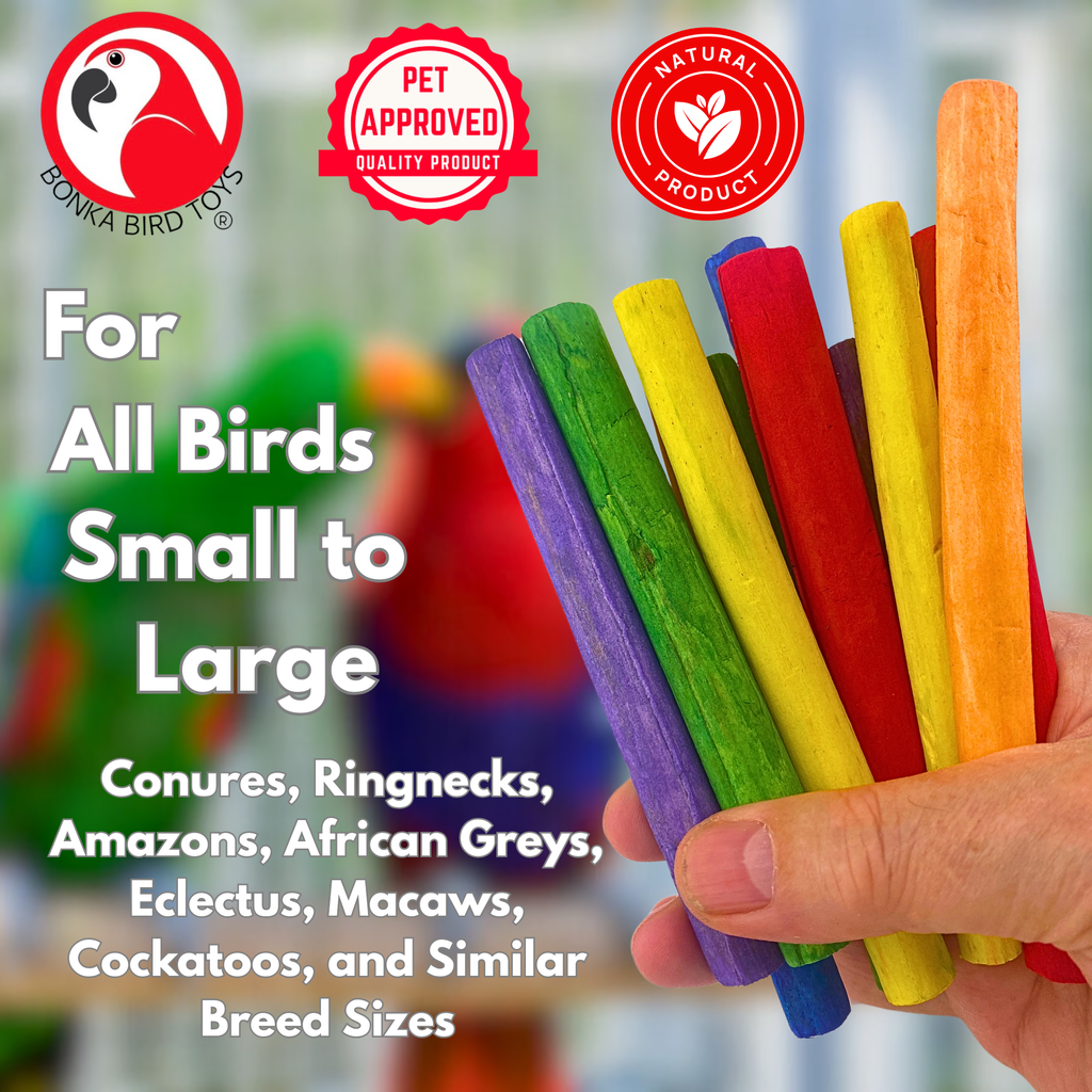 2638 Pk12 Thin Colored Sola Sticks