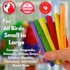 2638 Pk12 Thin Colored Sola Sticks