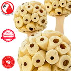 2965 PK2 Natural Sola Dumbbell