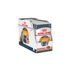 Royal Canin Feline Care Nutrition Hair & Skin Hairball Care Wet Cat Food 85g Pack of 12