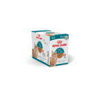 Royal Canin Feline Health Nutrition Ageing 11+ Wet Cat Food 85g Pack of 12