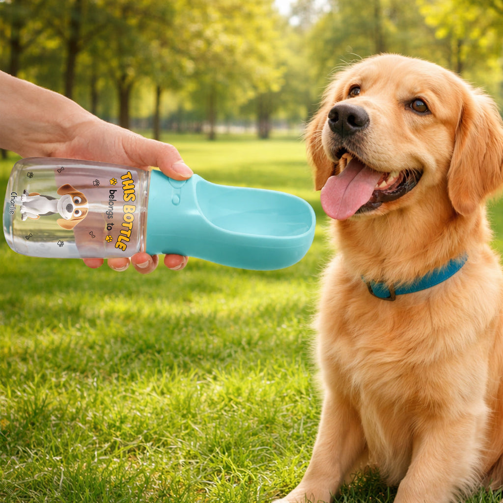 Belongs To - Personalized Pet Water Bottle With Drinking Feeder