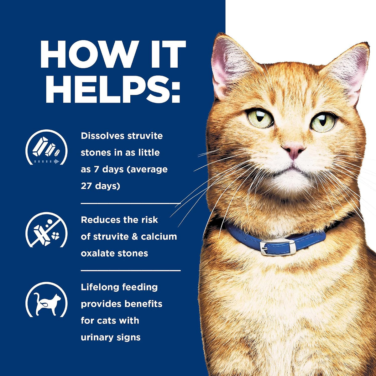 Hill's Prescription Diet - Feline c/d Multi Urinary Care