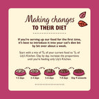Lily's Kitchen - Wet Food For Cats - Chicken Paté for Mature Cats 85g