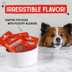 Stella & Chewy's - Stella's Shredrs For Dogs - Beef & Lamb Recipe in Broth