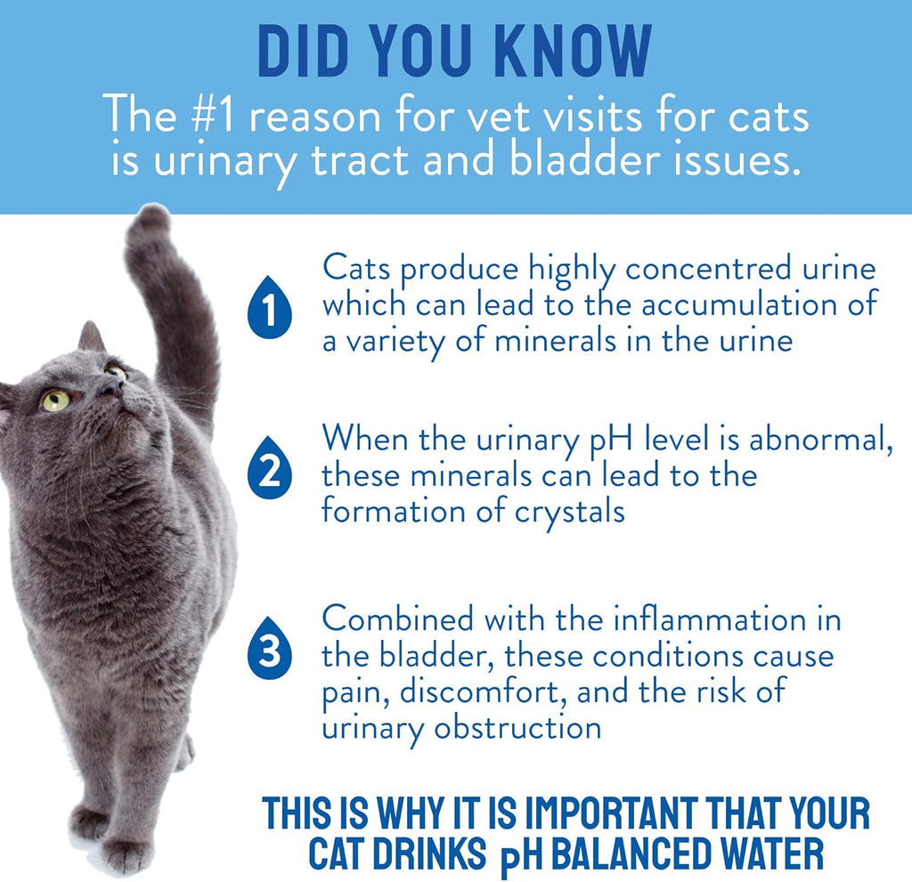 VetWater - pH Balanced Cat Water (Urinary Fornula)