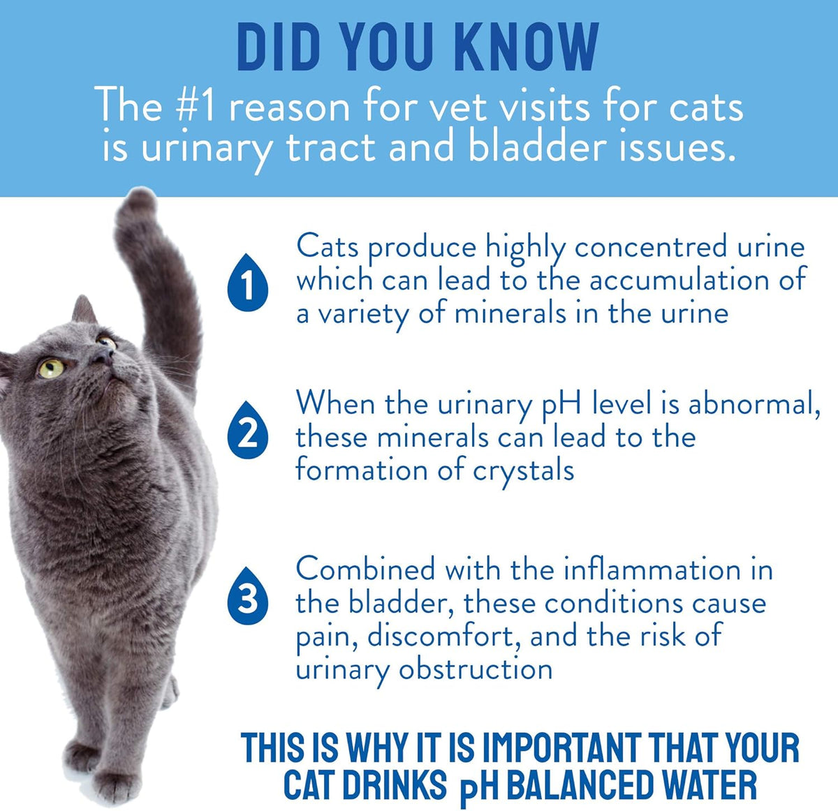 VetWater - pH Balanced Cat Water (Urinary Fornula)