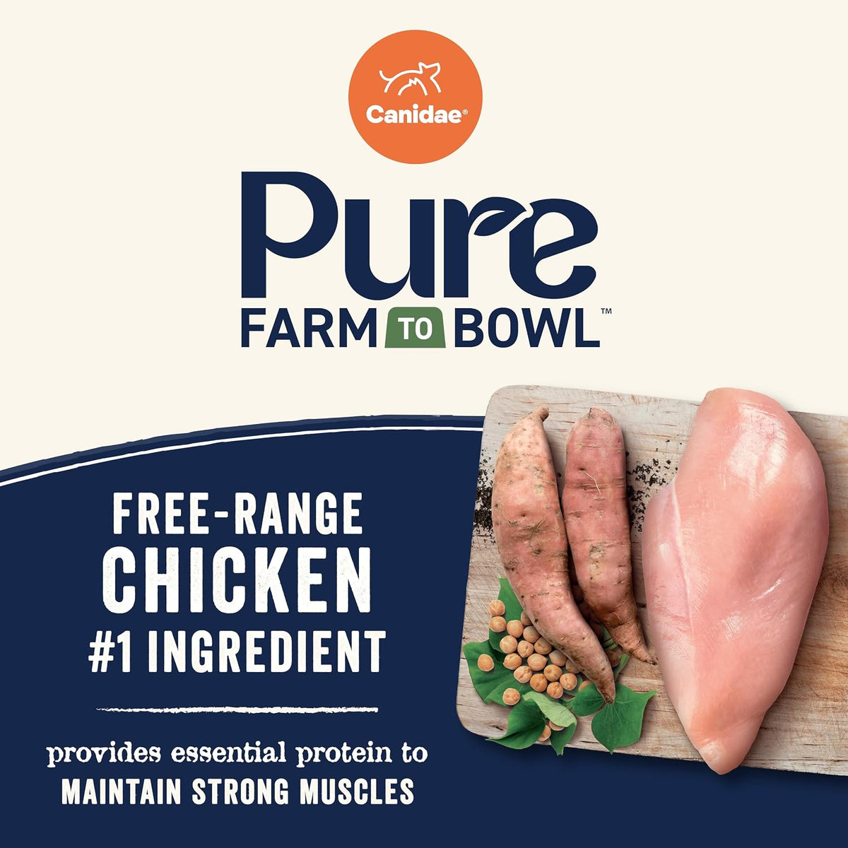 Canidae PURE Grain Free Senior Dry Dog Food - Chicken, Sweet Potato & Garbanzo Bean
