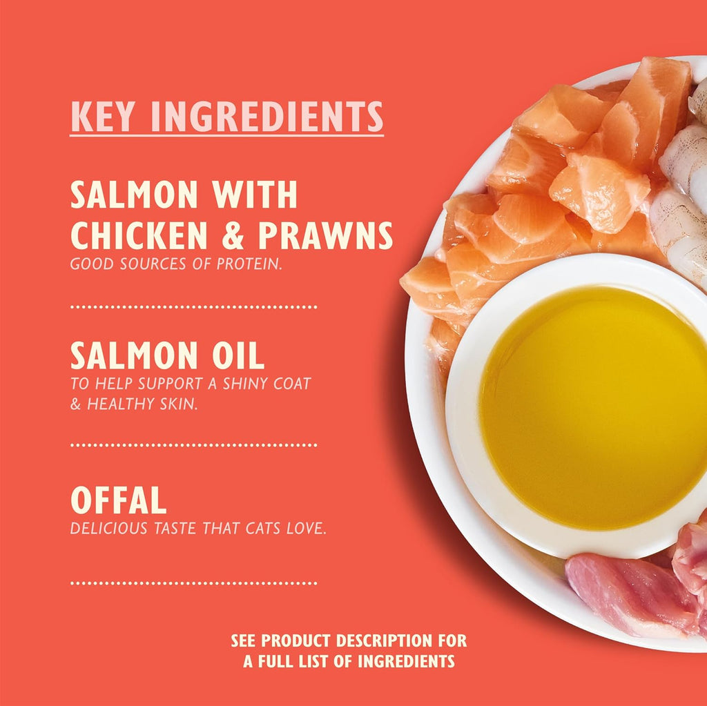 Lily's Kitchen - Wet Food For Cats - Salmon & Chicken with Prawns Paté 85g