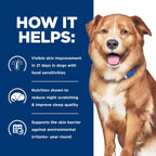 Hill's Prescription Diet - Canine Derm Complete Rice & Egg Recipe Canned 13oz