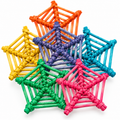 2506 Pk6 Color Vine Web