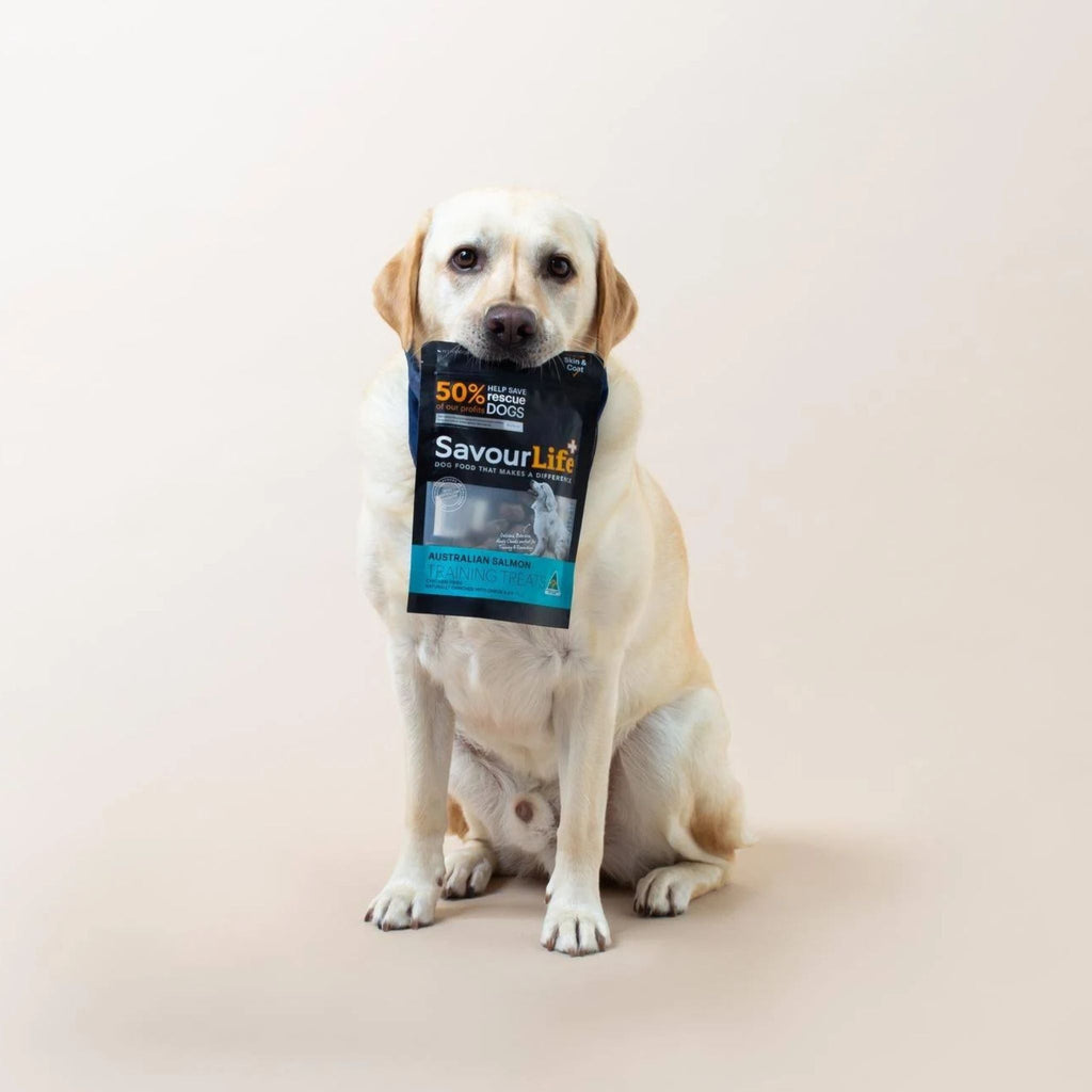 SavourLife Australian Salmon Training Treats for Dogs