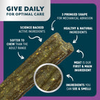 Bell and Bone Dental Sticks for Senior Dogs - Kangaroo, Mint and Rosehip
