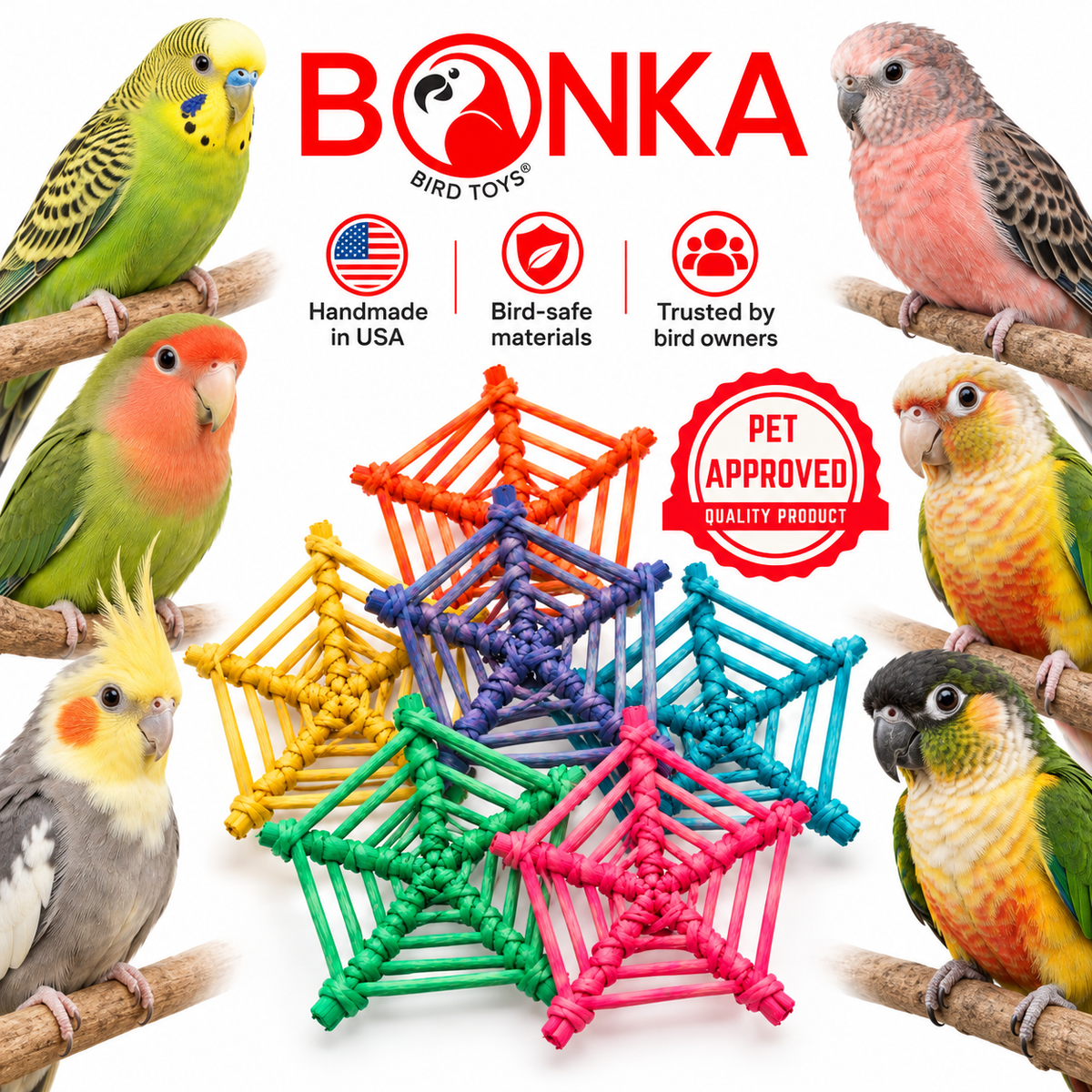 2506 Pk6 Color Vine Web