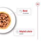 Royal Canin - Ageing 12+ Mini Dog Gravy Wet Food 85g