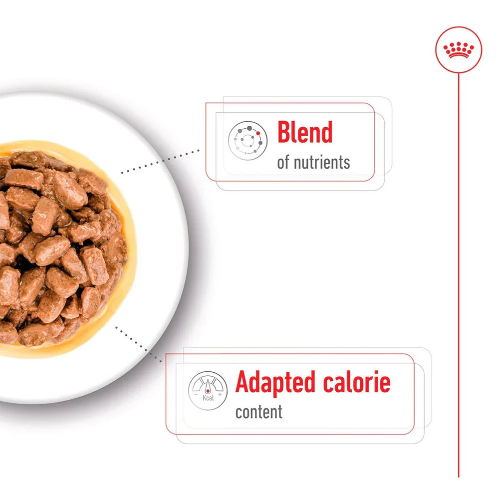 Royal Canin - Ageing 12+ Mini Dog Gravy Wet Food 85g
