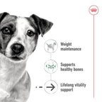 Royal Canin - Ageing 12+ Mini Dog Gravy Wet Food 85g