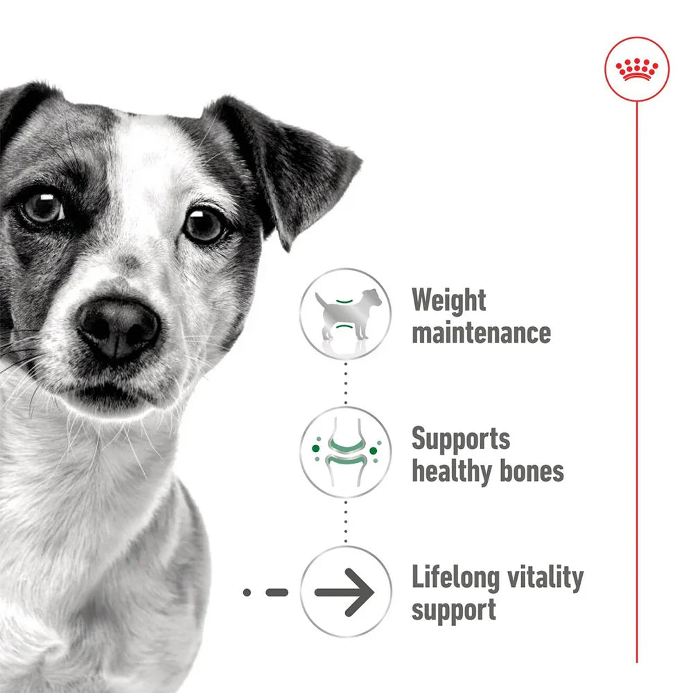 Royal Canin - Ageing 12+ Mini Dog Gravy Wet Food 85g