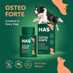 NAS NATURAL ANIMAL SOLUTIONS Osteoforte 60Caps