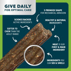 Bell and Bone Dental Sticks for Senior Dogs - Chicken, Mint and Ginger