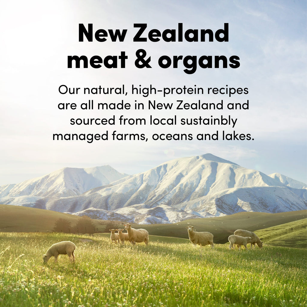 ANIMALS LIKE US Meal Mixer Lamb & Lamb Tripe Freeze Dried Raw Dog Food