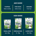 Bell and Bone Dental Sticks for Senior Dogs - Chicken, Mint and Ginger