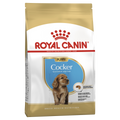 Royal Canin Cocker Spaniel Puppy